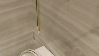 会跳舞的小保姆特选精彩直播六月十二号