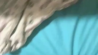 黑人和棕发继妹分享继兄弟的大鸡巴