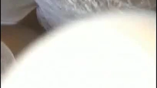 野趣小野猫_十二月二十三号